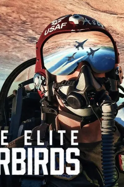 Air Force Elite: Thunderbirds