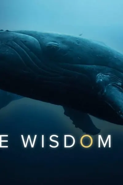 Whale Wisdom