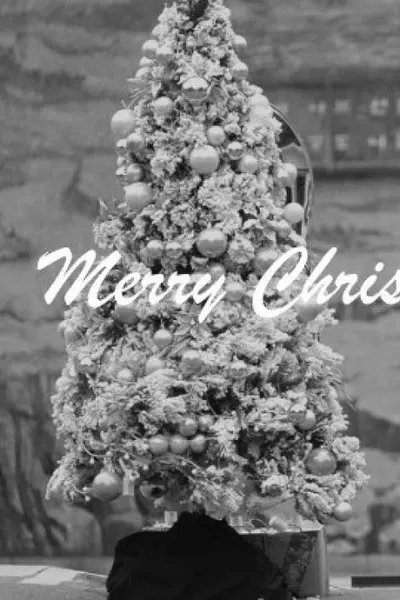 Merry Christmas Mr. Mo