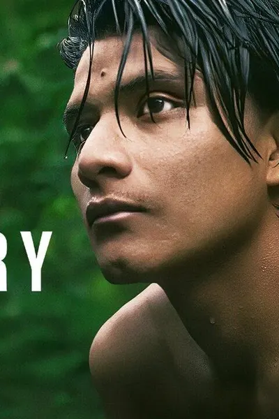 The Territory