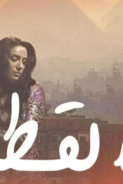 القط