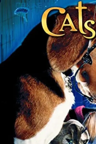 Cats & Dogs