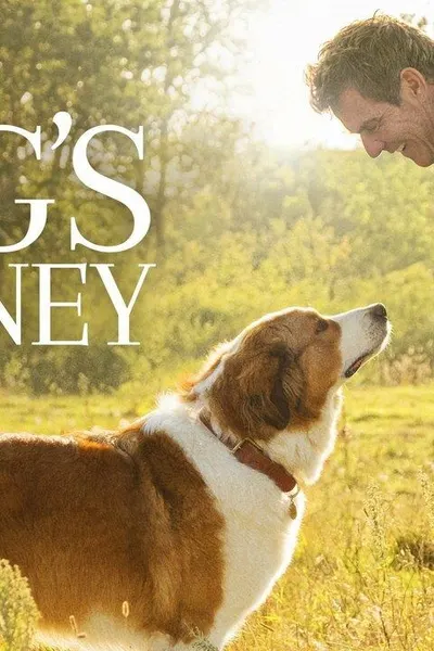A Dog's Journey