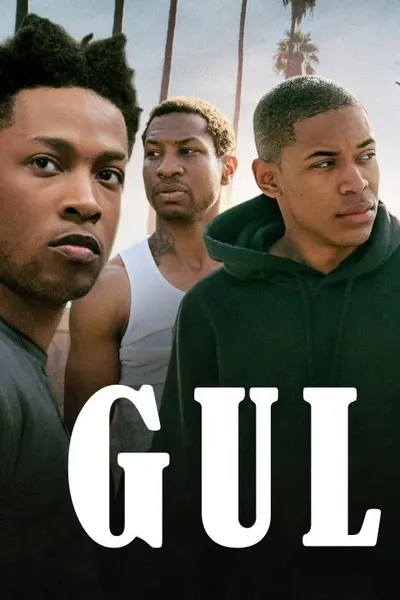 Gully