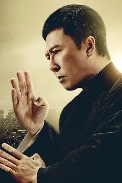 Ip Man 4: The Finale