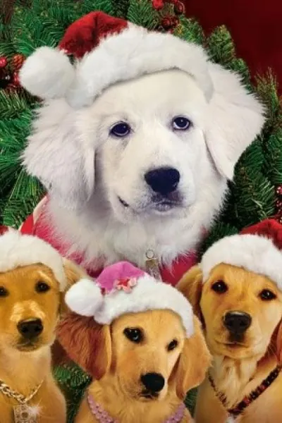 Santa Buddies