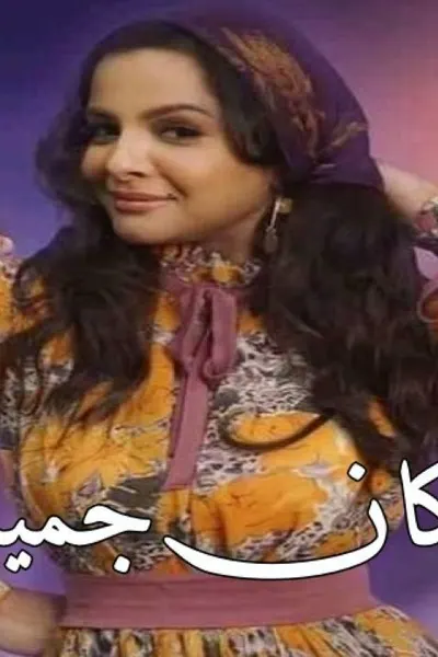 دكان جميلة