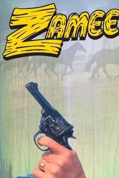 Zameer