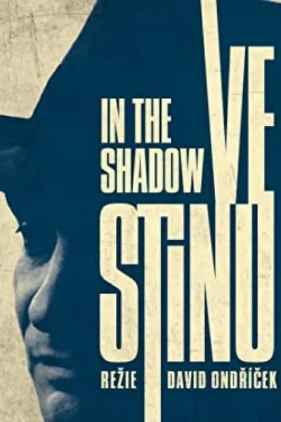 In the Shadow