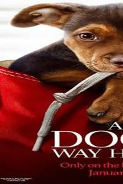 A Dog’s Way Home