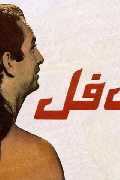 ميت فل