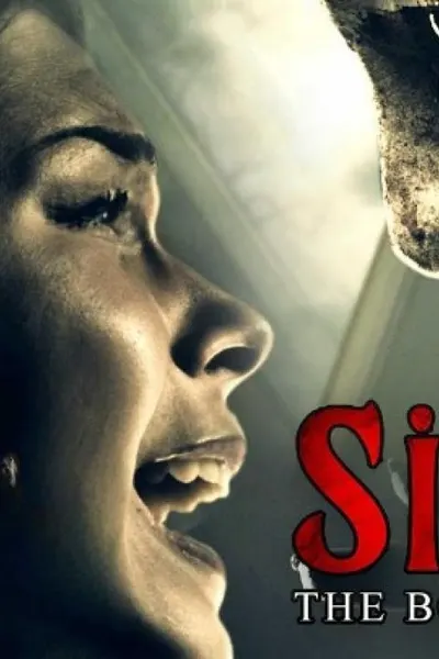 Siccin
