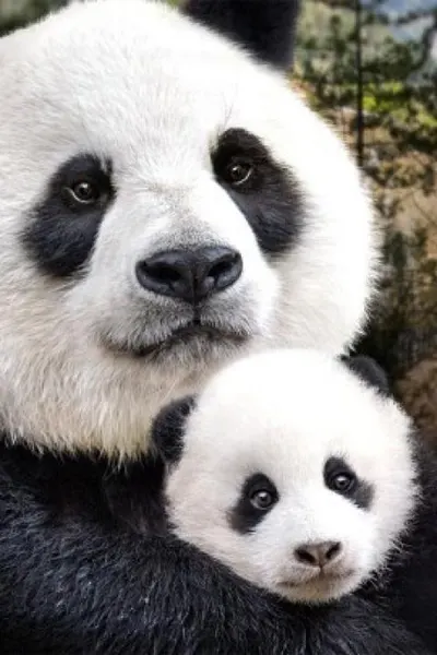 Born in China