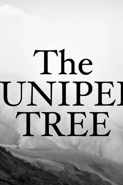 The Juniper Tree