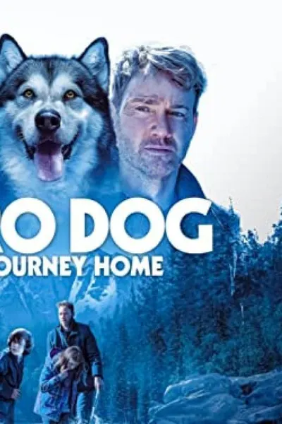 Hero Dog: The Journey Home