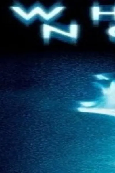 White Noise
