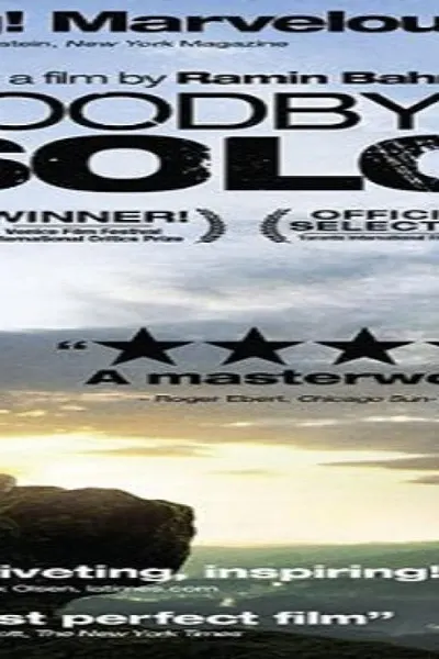 Goodbye Solo