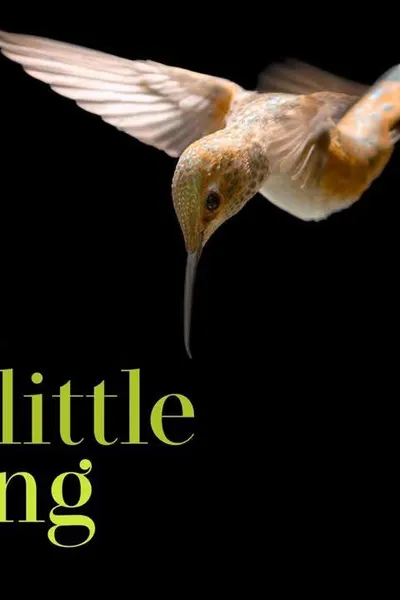 Every Little Thing