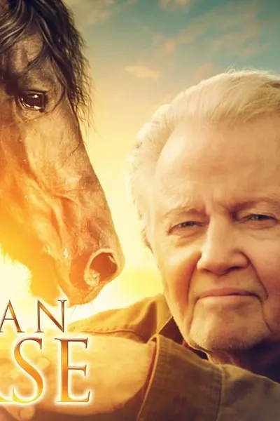 Orphan Horse