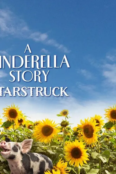 A Cinderella Story: Starstruck