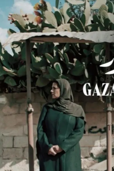 غزة مونامور