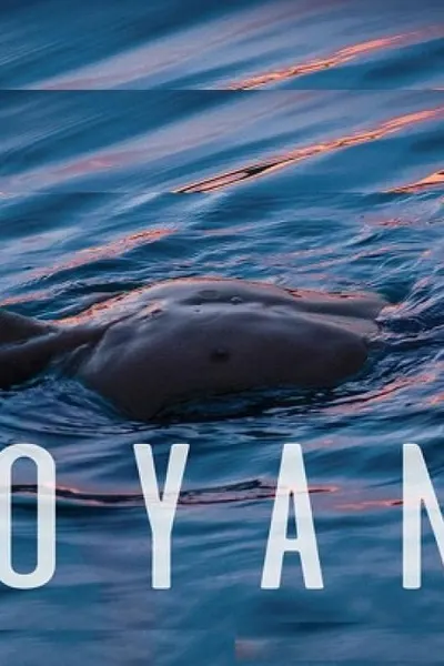 Buoyancy