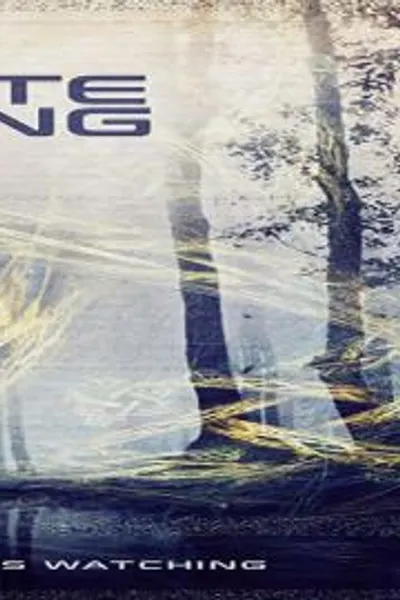 Remote Viewing