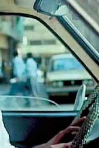 طائر على الطريق