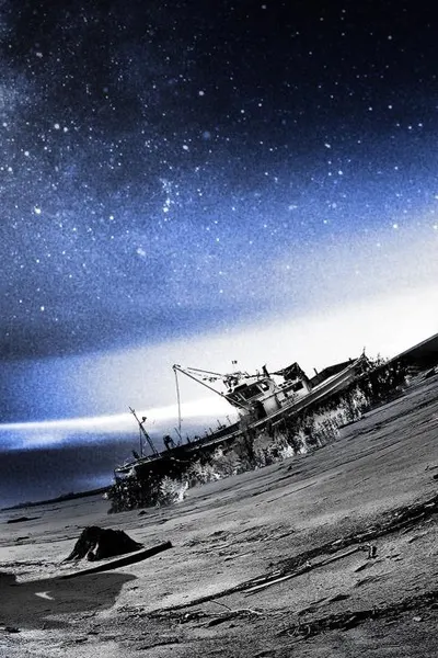The Whispering Star