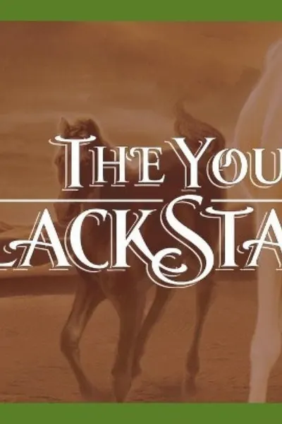 The Young Black Stallion