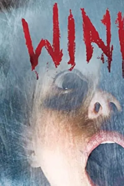 Wind Chill