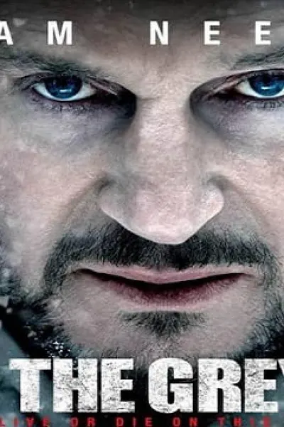 The Grey