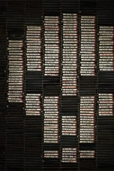 V/H/S