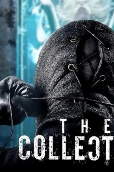 The Collection