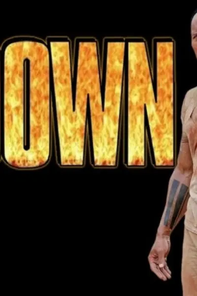 The Rundown