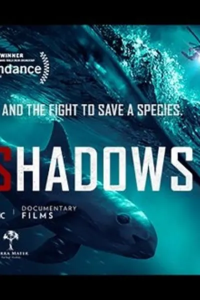 Sea of Shadows