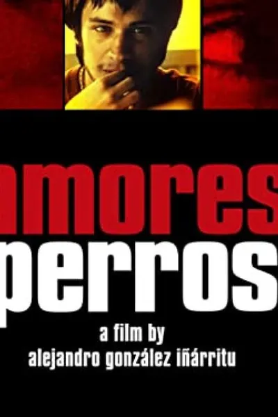Amores Perros