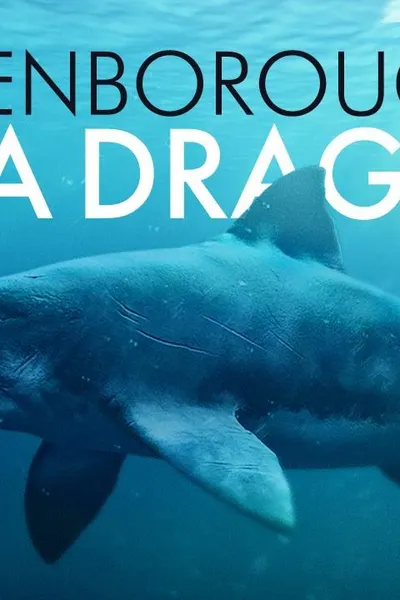 Attenborough and the Sea Dragon