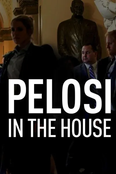 Pelosi in the House