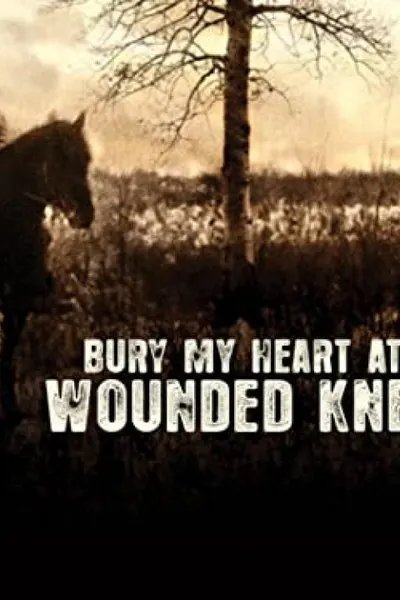 Bury My Heart at Wounded Knee