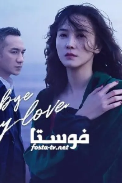 Goodbye My Love