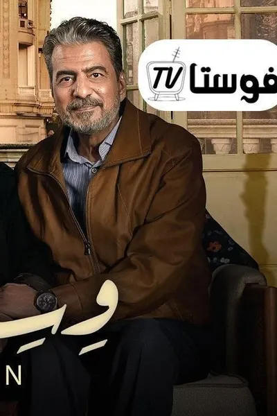 وسط البلد