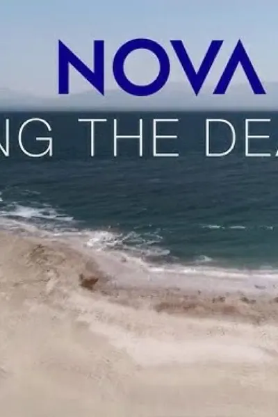 Saving the Dead Sea