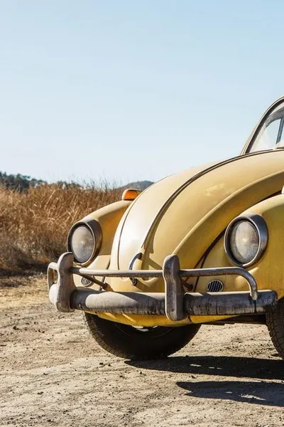 Bumblebee