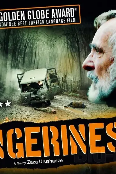 Tangerines