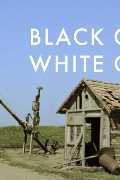 Black Cat, White Cat