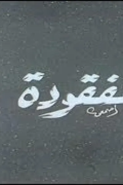 الطائرة المفقودة