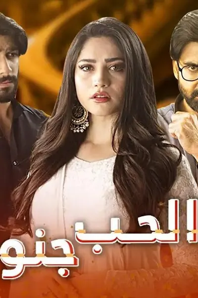 الحب جنون (مدبلج)
