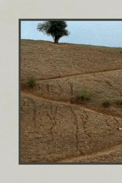 Where Is the Friend's House