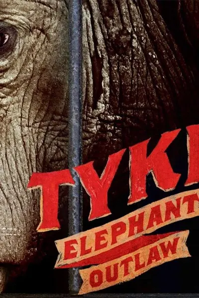 Tyke Elephant Outlaw